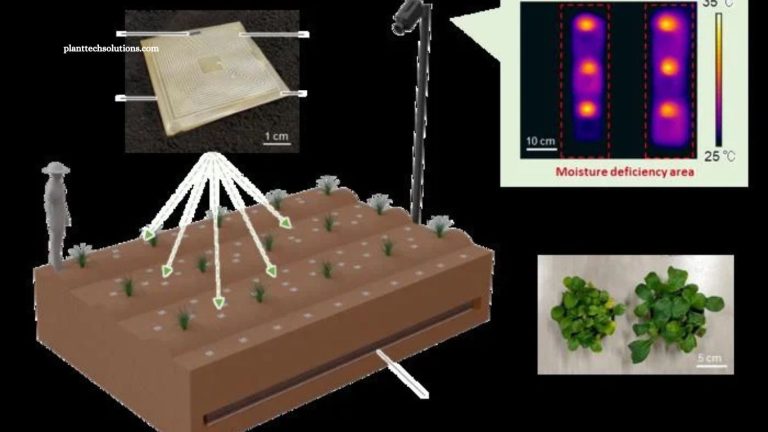 Biodegradable Sensors