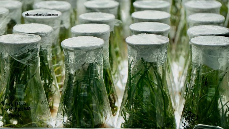 Gene Editing