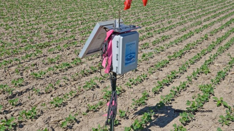 Right Soil Sensor