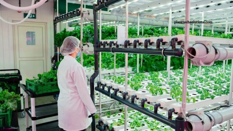 Robotic Weeders