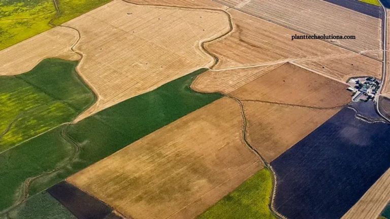 Satellite Technology for Smarter Crop