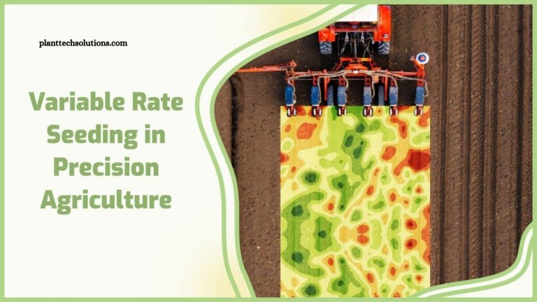 Variable Rate Seeding