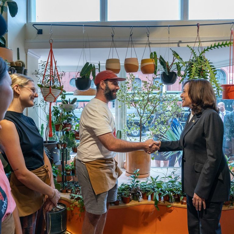 Small Businesses Find New Routes to Credit — illustrative photograph