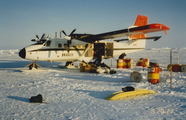 Under-Ice Algae Blooms Give Arctic Food Webs an Early Start pale arctic sea ice meeting open ocean water at the floe edge